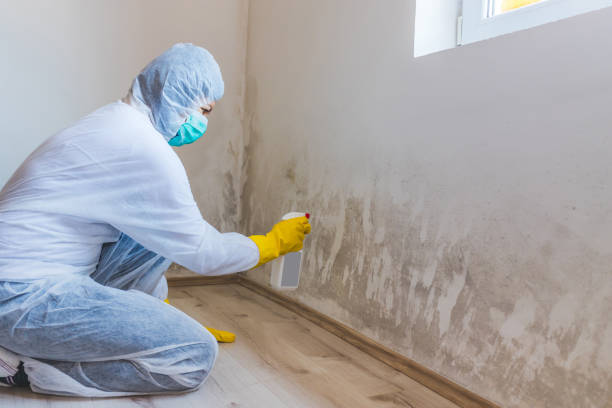 Licensed Commercial Mold Remediation service in Somerset, NJ - 24 Hour Mold Removal