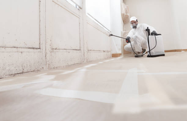 24/7 Emergency Commercial Mold Remediation experts in Somerset, NJ