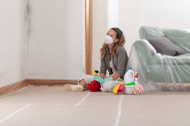 Reliable Commercial Mold Remediation contractor in Somerset, NJ by 24 Hour Mold Removal