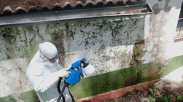 Top rated local Commercial Mold Remediation specialists in Somerset, NJ